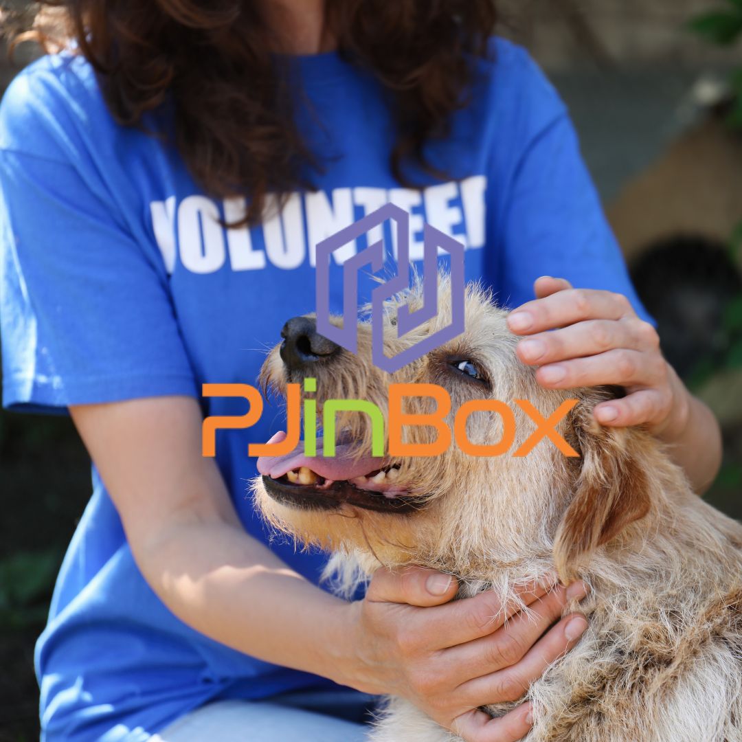 ONG Proteção de animais