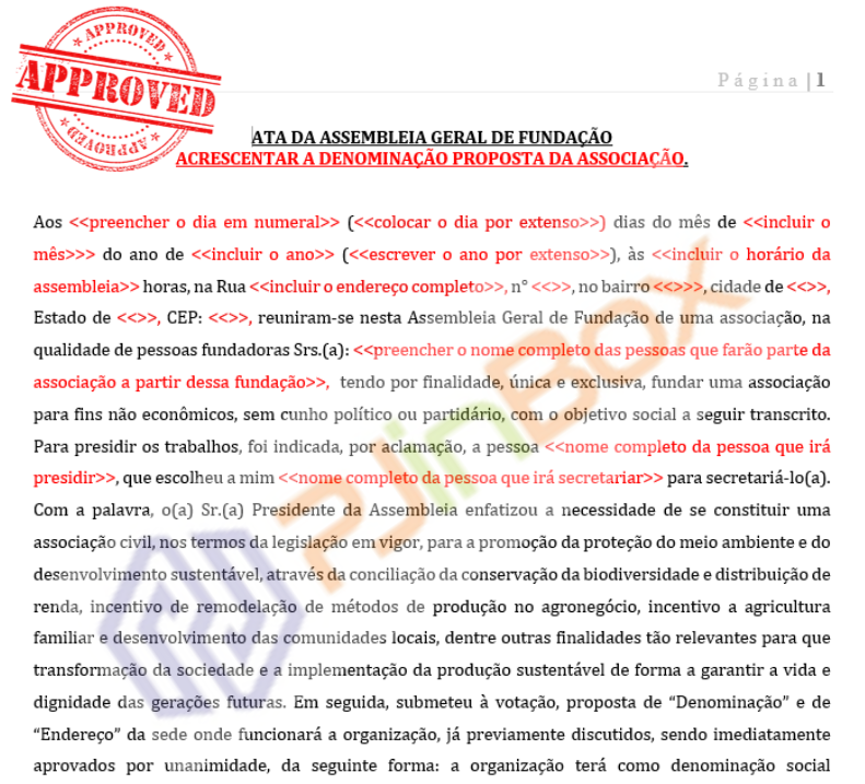 Instrumento de Fundação de Associação de Defesa do Meio Ambiente e Desenvolvimento Sustentável - Imagem 2